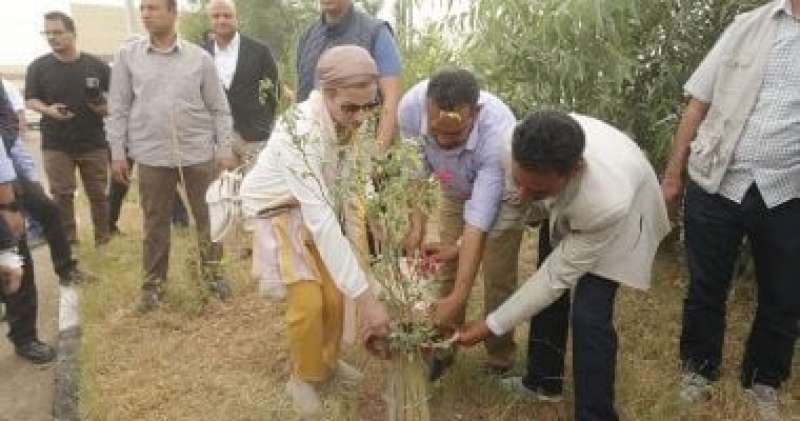 خط أحمر