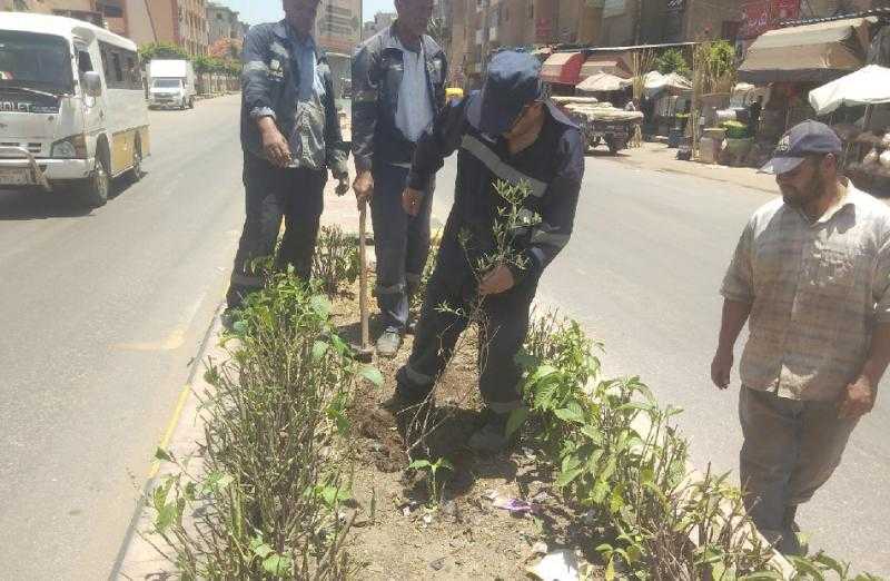 محافظ كفر الشيخ: استمرار زراعة الأشجار بدسوق ضمن مبادرة ”100 مليون شجرة”