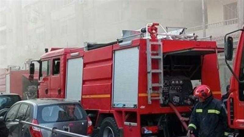 السيطرة على حريق اندلع في مجموعة من الأشجار بالدقي
