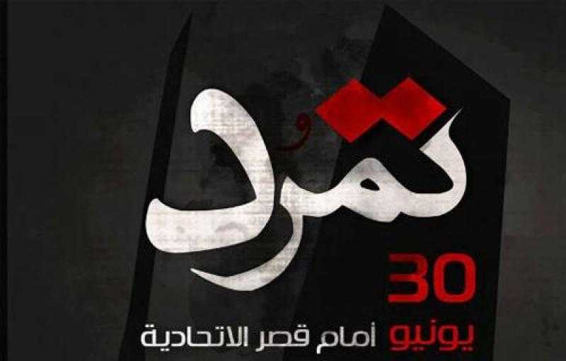 السويسي: بعد أسبوع من إنطلاق الحملة استطعنا تجميع 2 مليون توقيع تمرد