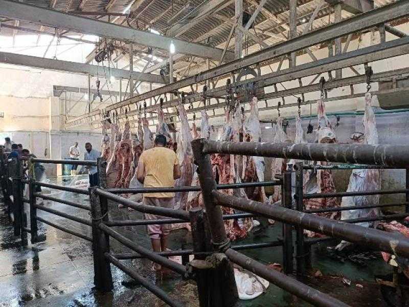 فتح المجازر بالمجان طوال أيام العيد بالجيزة.. تفاصيل