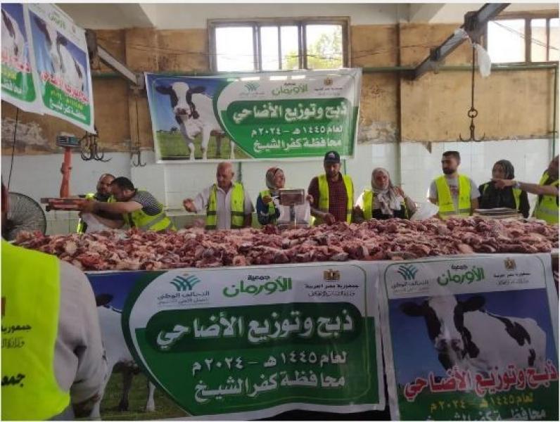 التحالف الوطني يستكمل مراحل تعبئة الأضاحي لتوزيعها على الأسر المستحقة.. صور