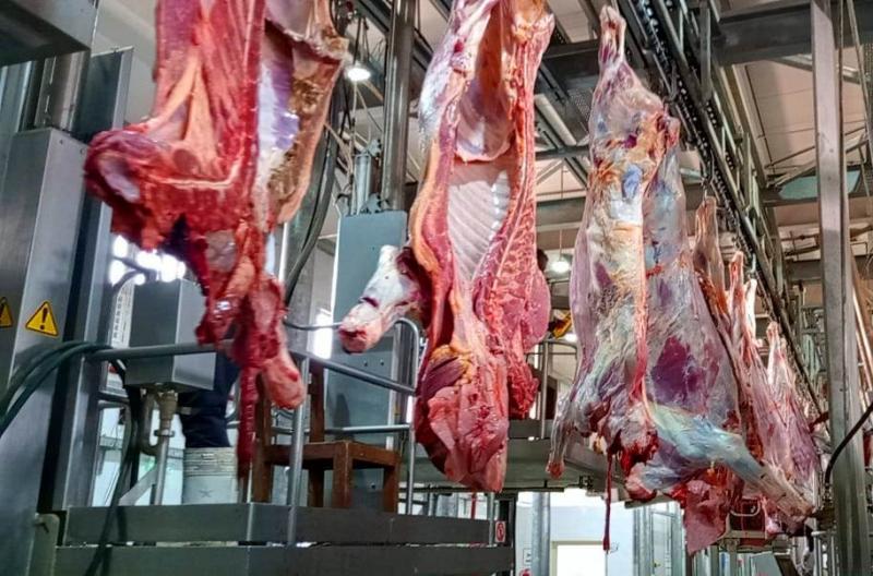 الأوقاف تُتابع ذبح وتجهيز الأضاحي لليوم الثاني في الوقت الشرعي وتحت إشراف بيطري | صور