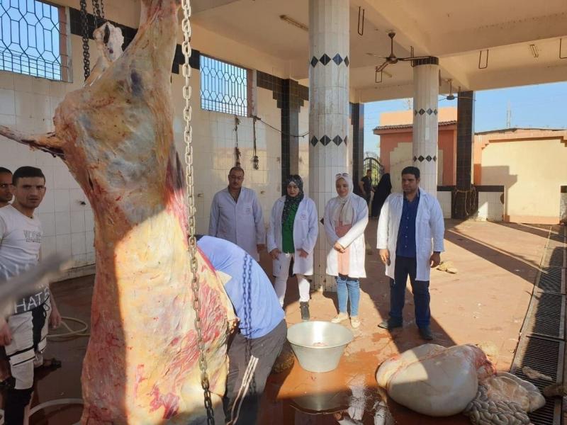 محافظ الشرقية: ذبح ١٥٠٠ أضحية داخل المجازر الحكومية بالمجان خلال أول وثاني ايام عيد الأضحى