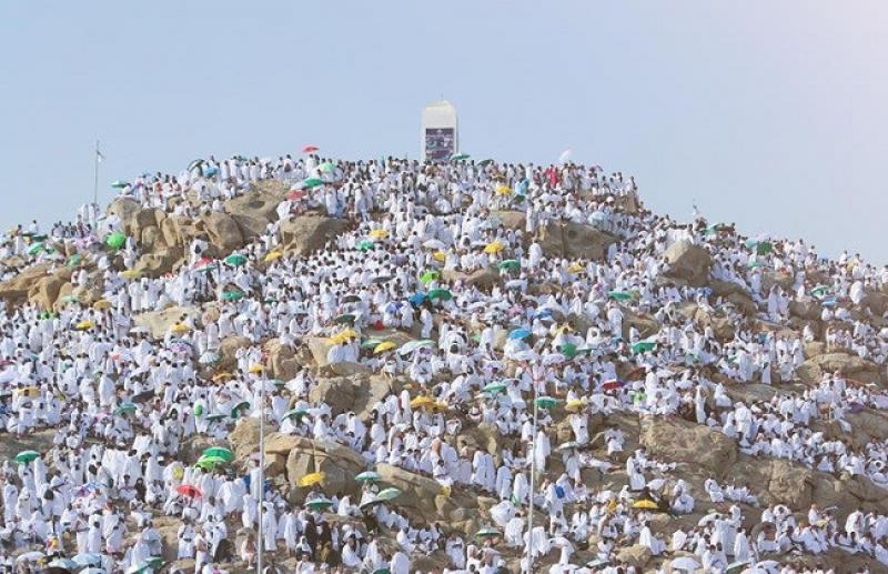 بعثة الحج تكشف عن حقيقة تغيب سيدتين عقب بلوغهما المشاعر المقدسة
