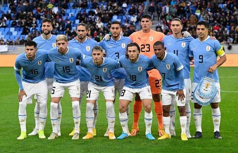 جوليان ألفاريز: الأرجنتين تستحق الصعود لنهائي كوبا أمريكا
