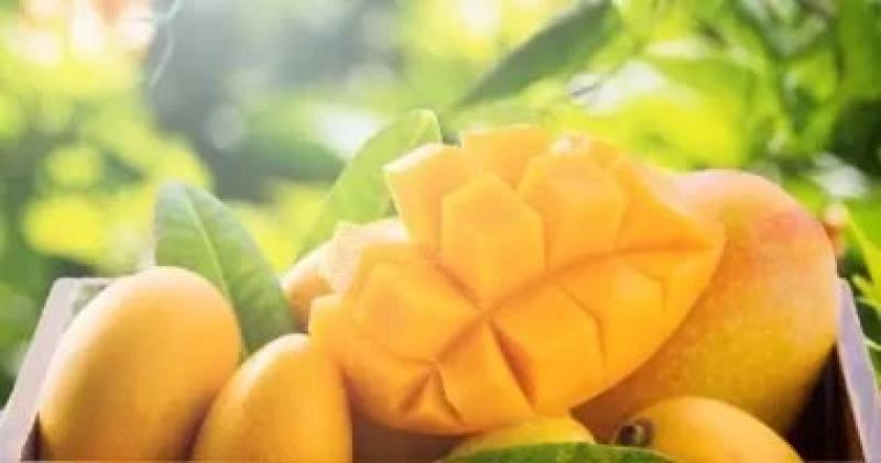 فوائد صحية لإضافة بذور الشيا لعصير المانجو