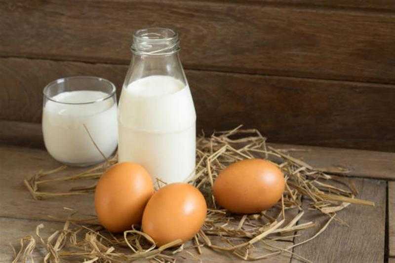 أسعار الألبان والبيض في الأسواق اليوم الأربعاء 19 يونيو