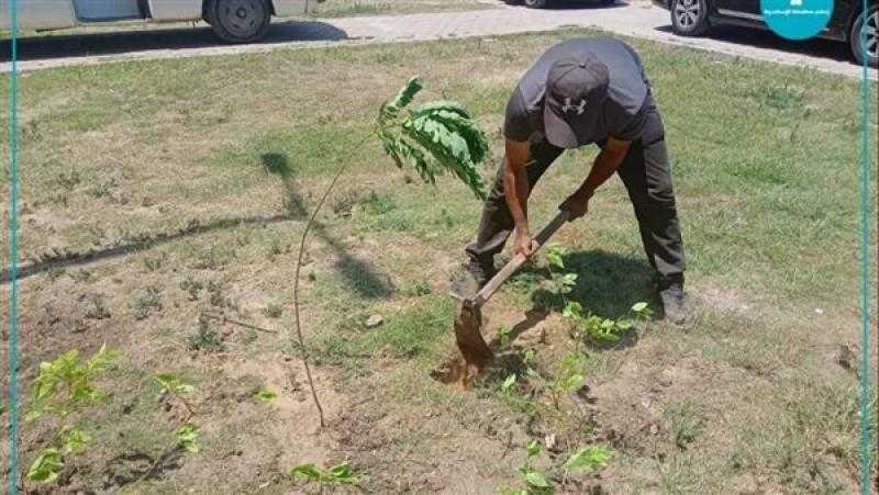 أستاذ مناخ: المبادرة الرئاسية لزراعة 3 ملايين شجرة قرار مهم