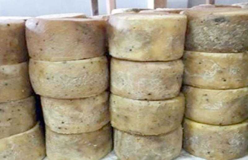 تموين البحيرة: ضبط مصنع جبن موتزاريلا بدون ترخيص في مركز دمنهور