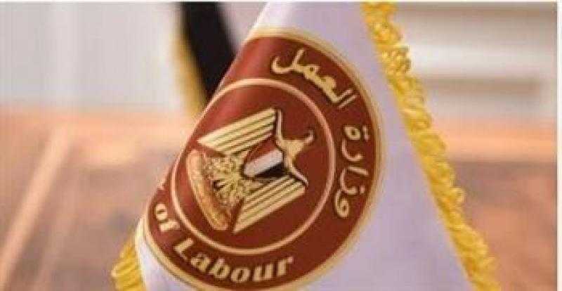 وزارة العمل توضح أكثر التخصصات طلبا في السوق المصري والدولي.. فيديو