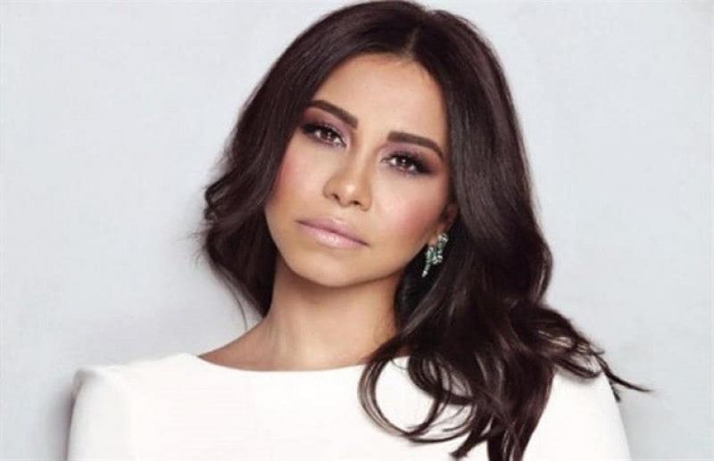 أول رد من شقيق شيرين عبد الوهاب بعد تقديمها بلاغًا ضده للنائب العام