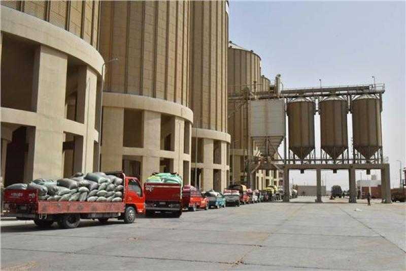 توريد 191 ألفا و697 طن قمح إلى شون وصوامع أسيوط