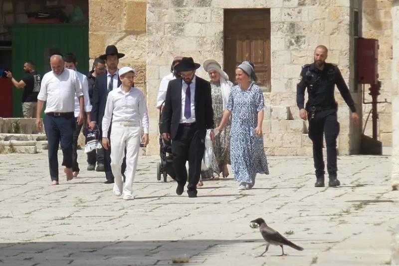 مستوطنون يقتحمون المسجد الأقصى بحماية شرطة الاحتلال الإسرائيلي