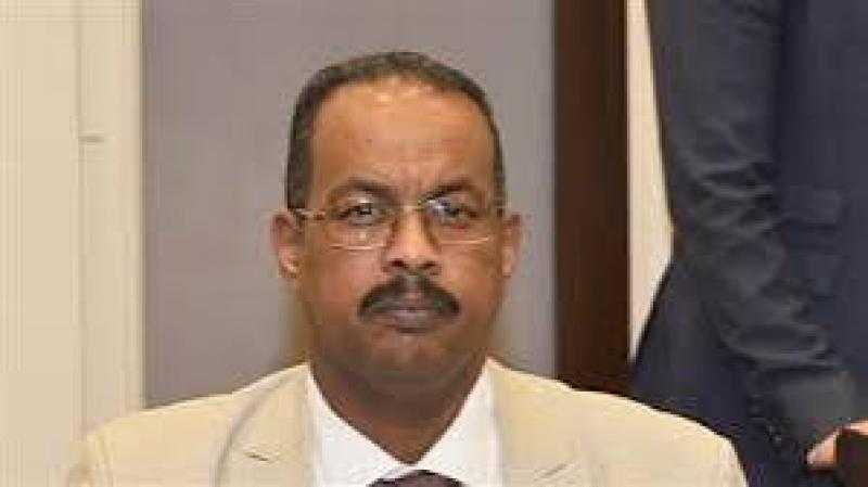 علي نور: 30 يونيو جاءت بقيادة وطنية عظيمة حققت طموحات الوطن