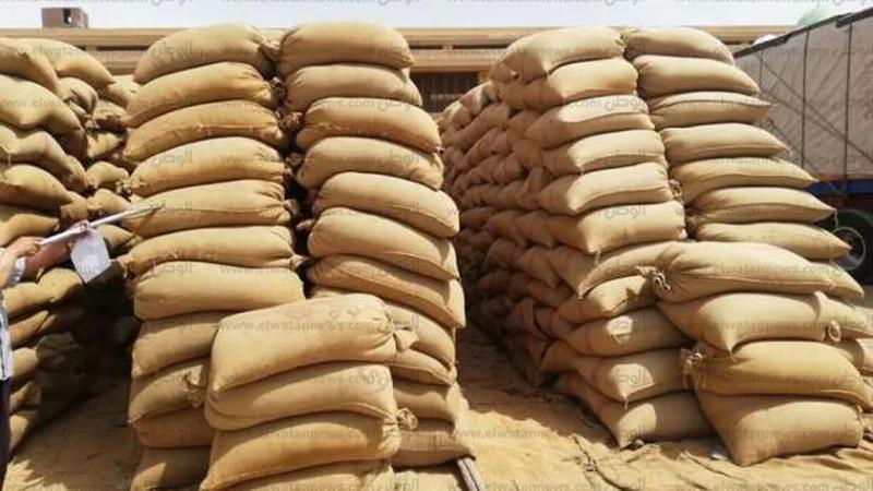 توريد أكثر من 614 ألفا و 421 طن قمح لصوامع الشرقية