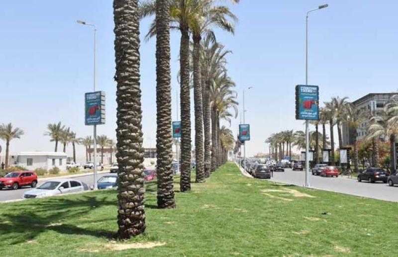 محلية رأس البر ترفع كفاءة المساحات الخضراء بالنجيل الأخضر