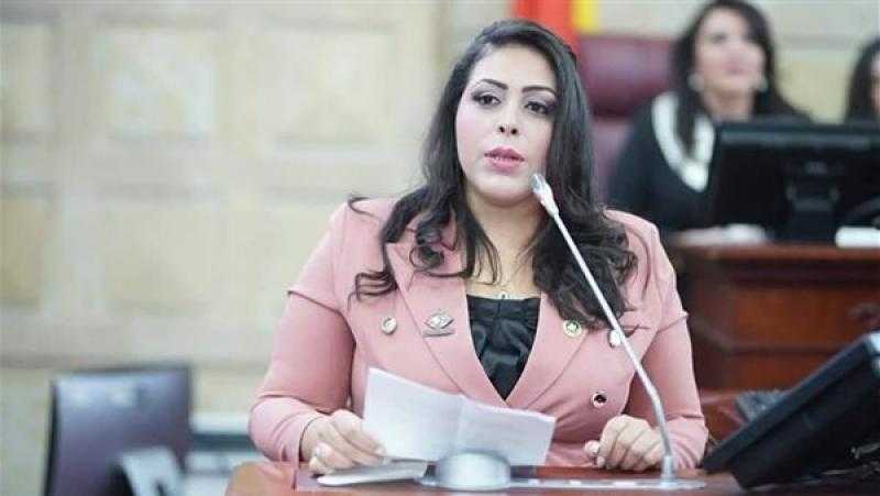 برلمانية: برنامج الحكومة الجديدة أكد الحفاظ على الأمن القومي