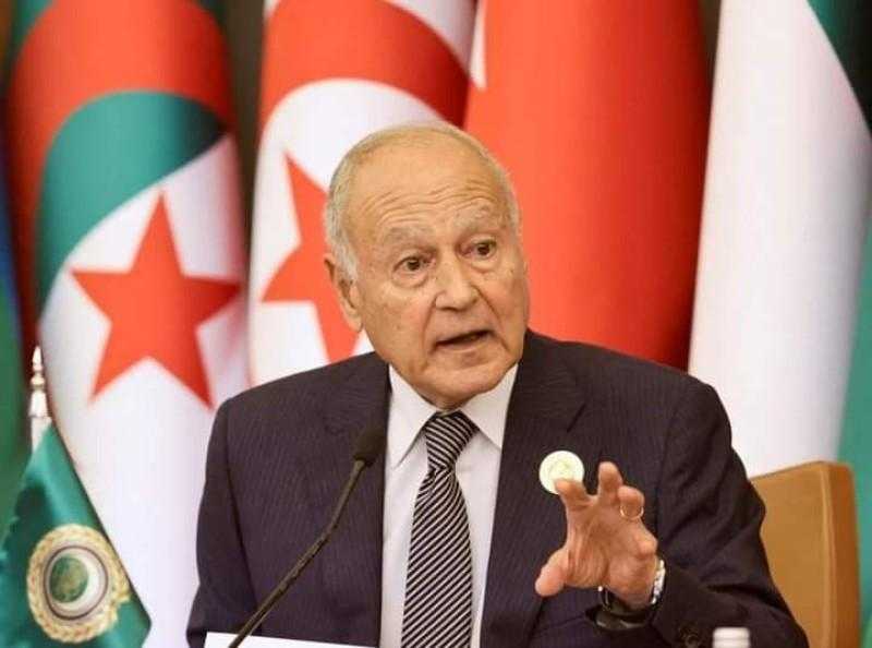 أبوالغيط يدعو اليابان للاعتراف بالدولة الفلسطينية