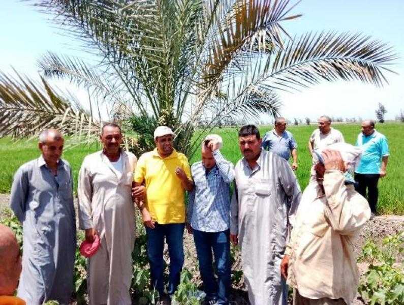 وزارة الزراعة: جولات لقيادات الوزارة بالمحافظات لمتابعة المحاصيل ومنظومة الأسمدة