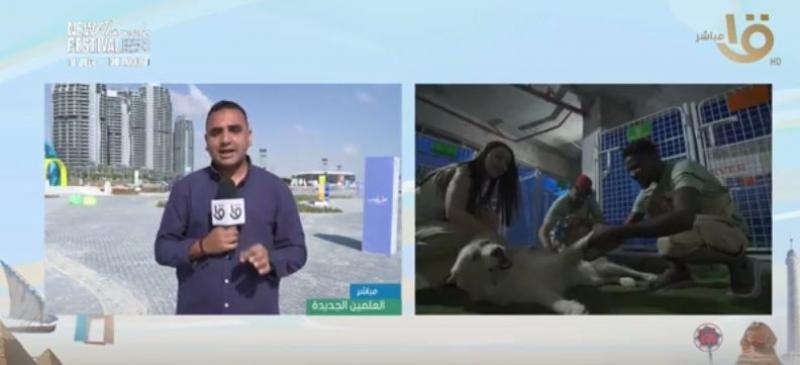 ”صباح الخير يا مصر” يشاهد فعاليات مهرجان الحيوانات الأليفة: الأجواء ممتعة