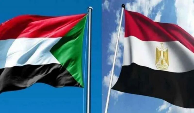 حقيقة القبض على سودانيين لقيامهم بأعمال مسيئة