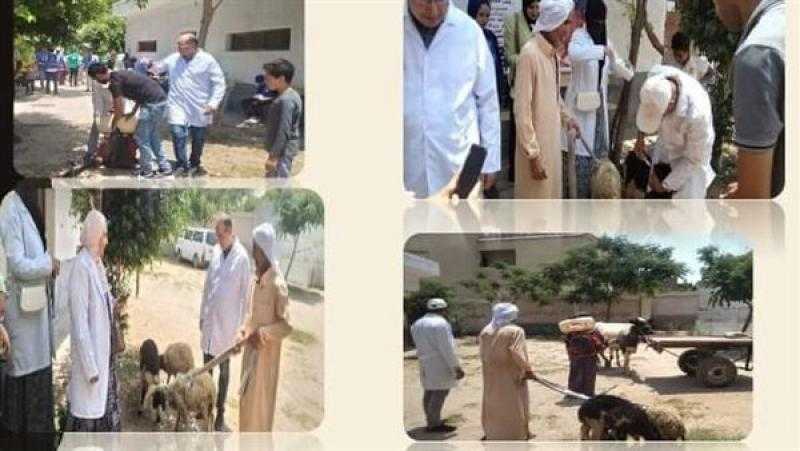 «بيطري الشرقية» يُنظم قافلة طبية بقرية قنتير بفاقوس