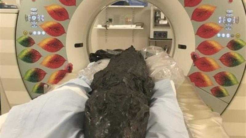 بعد مسح أمعاء تمساح محنط عمره 3000 عام.. علماء يكشفون سر جديد من أسرار الفراعنة
