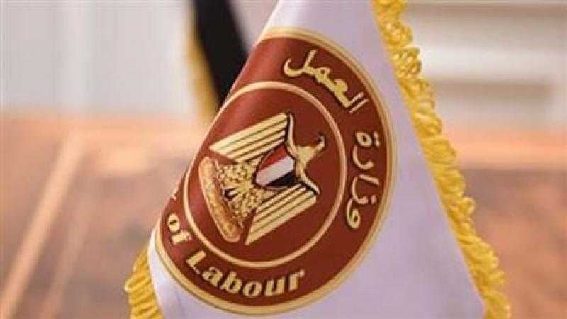 300 فرصة عمل لفتيات القاهرة بمجال أخصائية تمويل.. اعرف التفاصيل
