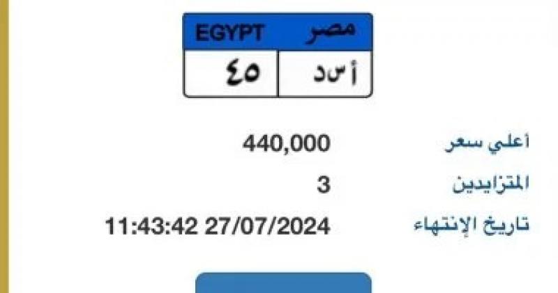 مزاد على لوحة سيارة ”أ س د - 45” المميزة بسعر يقترب من نصف مليون جنيه