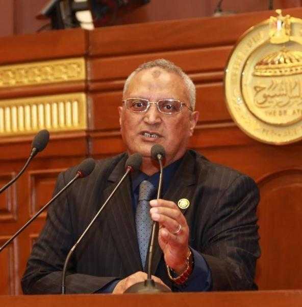برلماني: توجيهات الرئيس بإيجاد حلول لتخفيف الأحمال حاسمة للأزمة