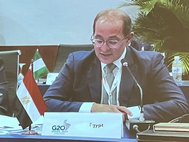 وزير المالية لـ مجموعة العشرين بالبرازيل: التحديات العالمية مازالت تمثل ضغوطًا على الاقتصادات الناشئة وقضايا «الديون العالمية» تعوق أهدافنا