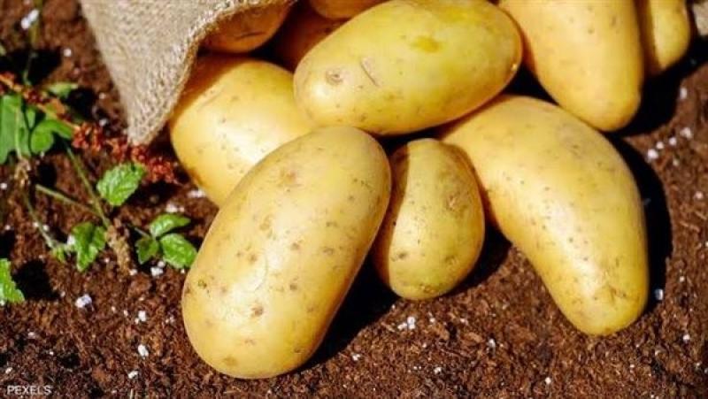 مفاجأة سارة.. انخفاض سعر البطاطس 50% في هذا التوقيت
