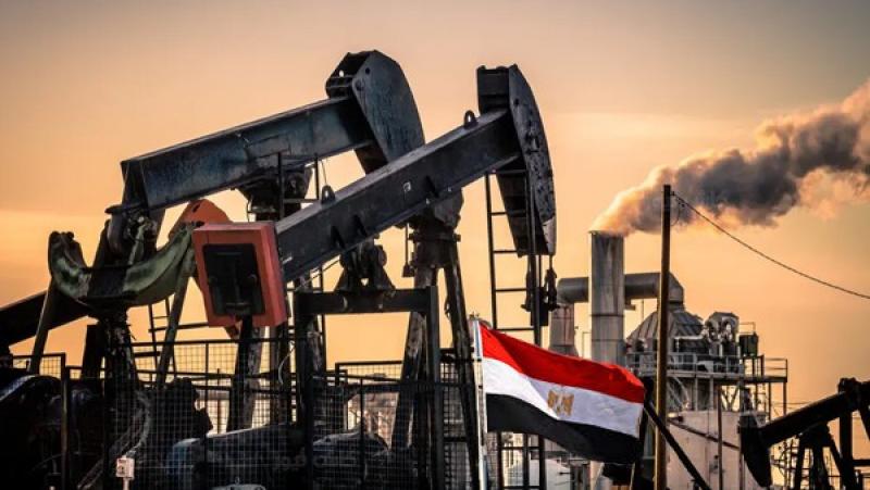 مصر ضمن أكبر 5 دول إفريقية مصدرة للنفط لنيجيريا بقيمة 4.76 مليون دولار