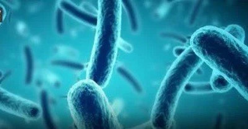 مضاعفات تسببها عدوى المكورات.. لا تصيب الرئة فقط