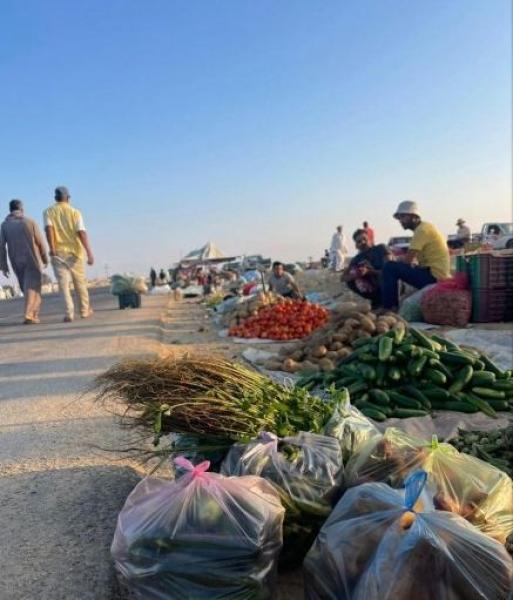 بعد توقف عدة سنوات.. محافظ شمال سيناء يتابع تشغيل سوق الإثنين بقرية الجورة