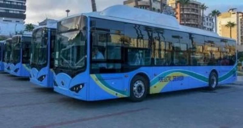 النقل: أتوبيسات القاهرة العلمين تتحرك فى مواعيدها وغير محددة بعدد معين