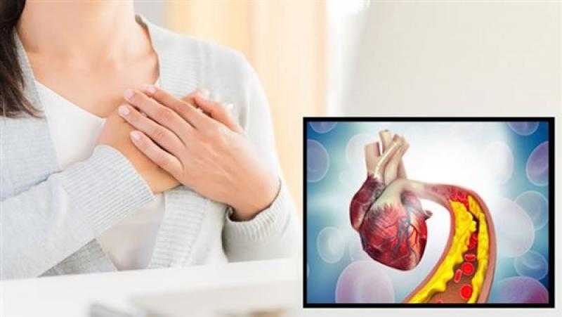 الطماطم والزيوت النباتية من أفضل الأطعمة لخفض نسبة الكوليسترول