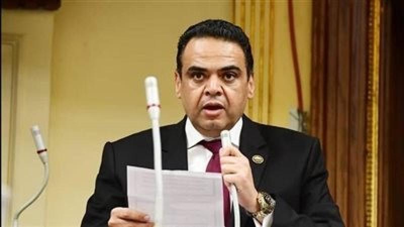 برلماني: الحكومة تسعى لدعم المزارعين وتحقيق الاكتفاء الذاتي