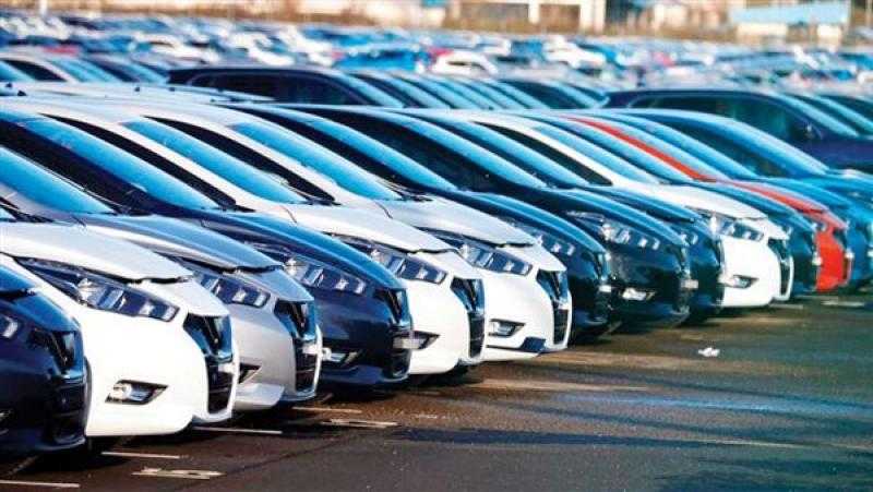 رئيس الجالية المصرية بفرنسا: أقترح مد مبادرة ”تيسير استيراد سيارات المصريين بالخارج”