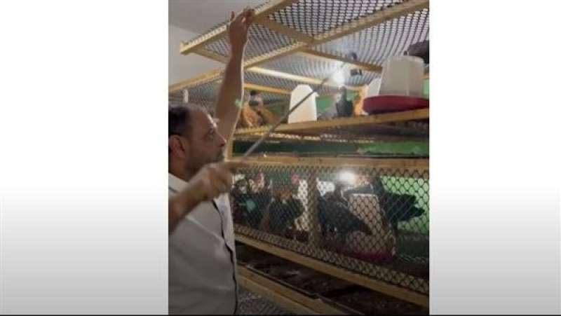 خط أحمر