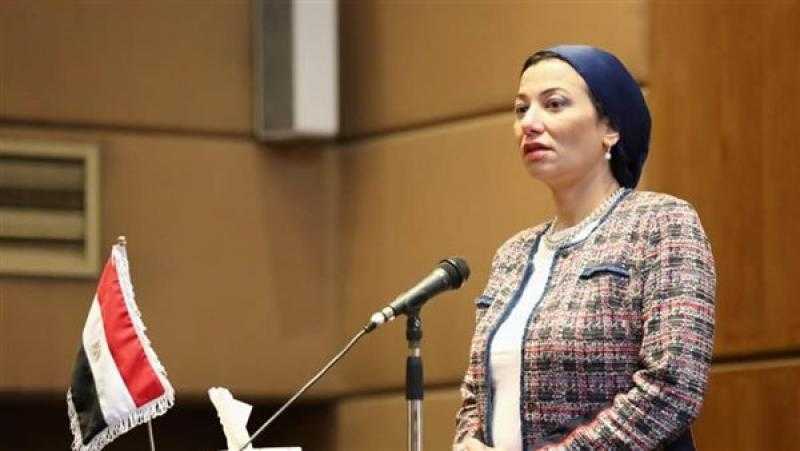 ياسمين فؤاد تبحث مع عدد من أعضاء مجلس النواب حل المشاكل البيئية داخل دوائرهم