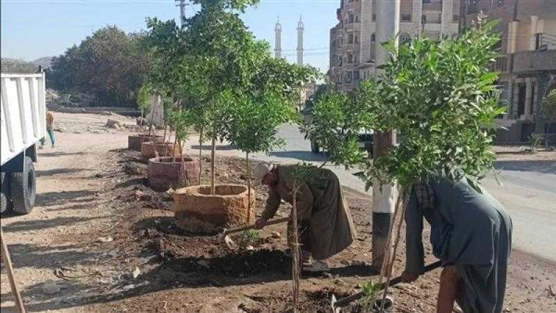 محافظ أسيوط: تشجير ونظافة مسار رحلة العائلة المقدسة بمركز أسيوط