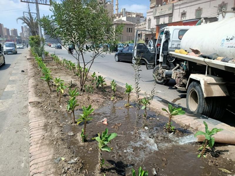 محافظ الغربية يتابع زراعة 3239 شجرة مثمرة وزينة بمدينة المحلة