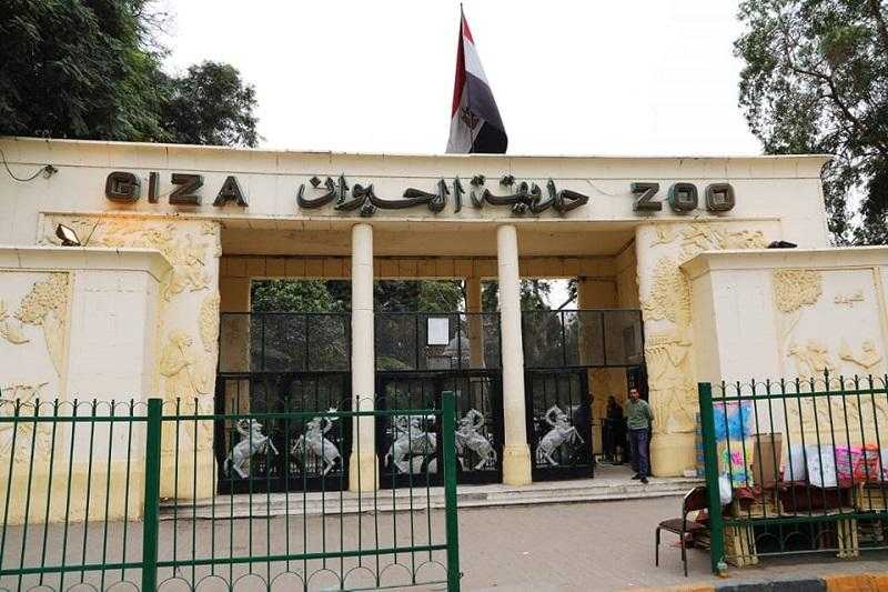 «متحدث الزراعة»: تطوير حديقتي الحيوان والأورمان سيستغرق عاما.. ولا قرار بدمجهما حتى الآن