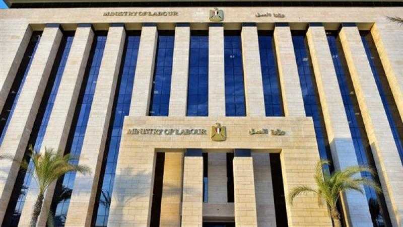 وزارة العمل: نسبة البطالة انخفضت من 13% لـ6.9%.. وإعلان 4962 فرصة تشغيل بـ94 شركة