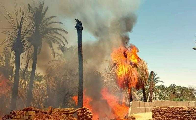 5 سيارات إطفاء تسيطر على حريق هائل فى مزرعة نخيل بقرية القلمون بالداخلة