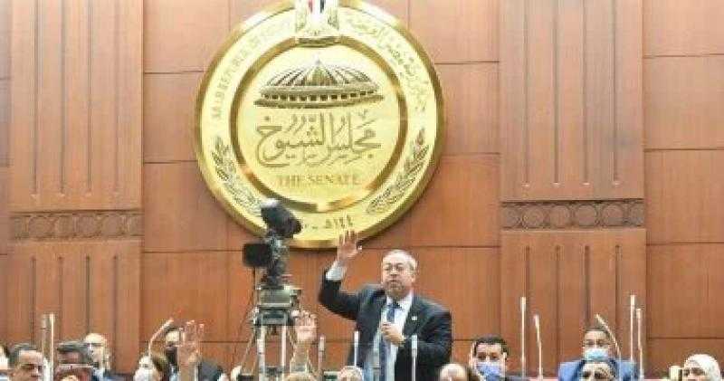برلمانى: الموقف المصرى واضح وحاسم فى دعم القضية الفلسطينية