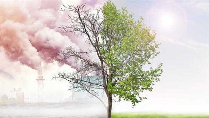 رئيس مركز معلومات المناخ: التغيرات المناخية ألقت بظلالها على القطاع الزراعي