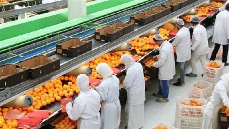 رئيس الإقليمي للمناخ: مصر تستهدف تصدير 8.5 مليون طن منتج زراعي خلال 2025